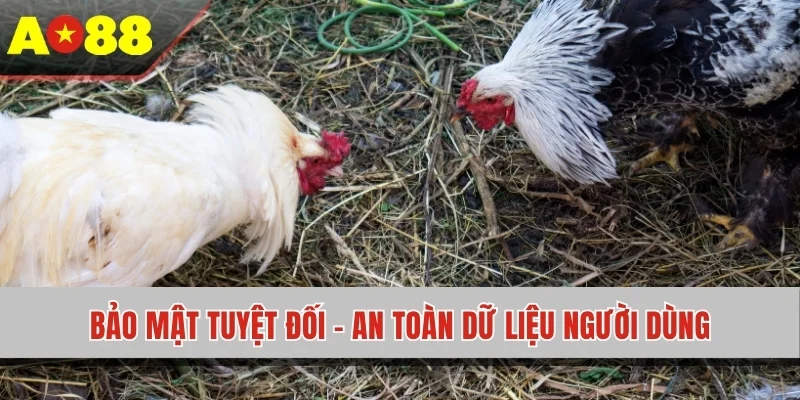 Bảo mật tuyệt đối - An toàn dữ liệu người dùng
