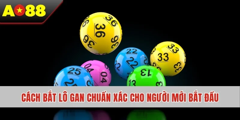Cách Bắt Lô Gan Chuẩn Xác Cho Người Mới Bắt Đầu