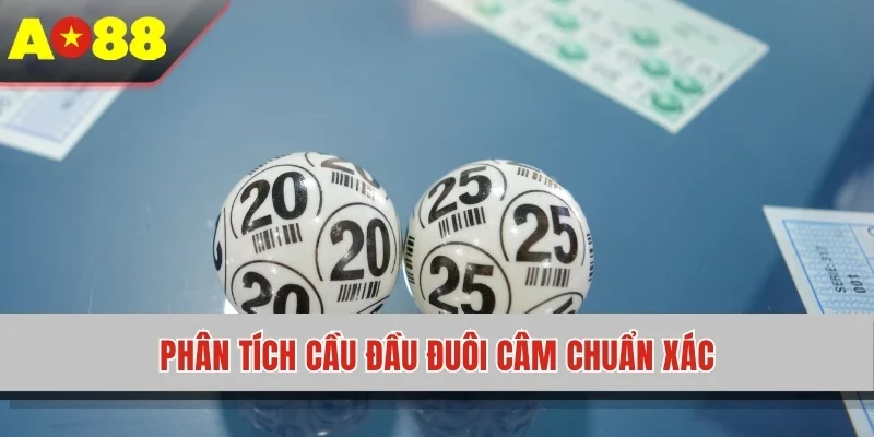 Phân tích cầu đầu đuôi câm chuẩn xác